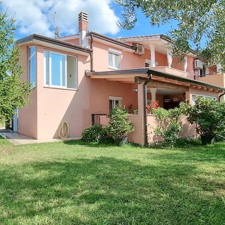شقة Stelia Novigrad Istria المظهر الخارجي الصورة